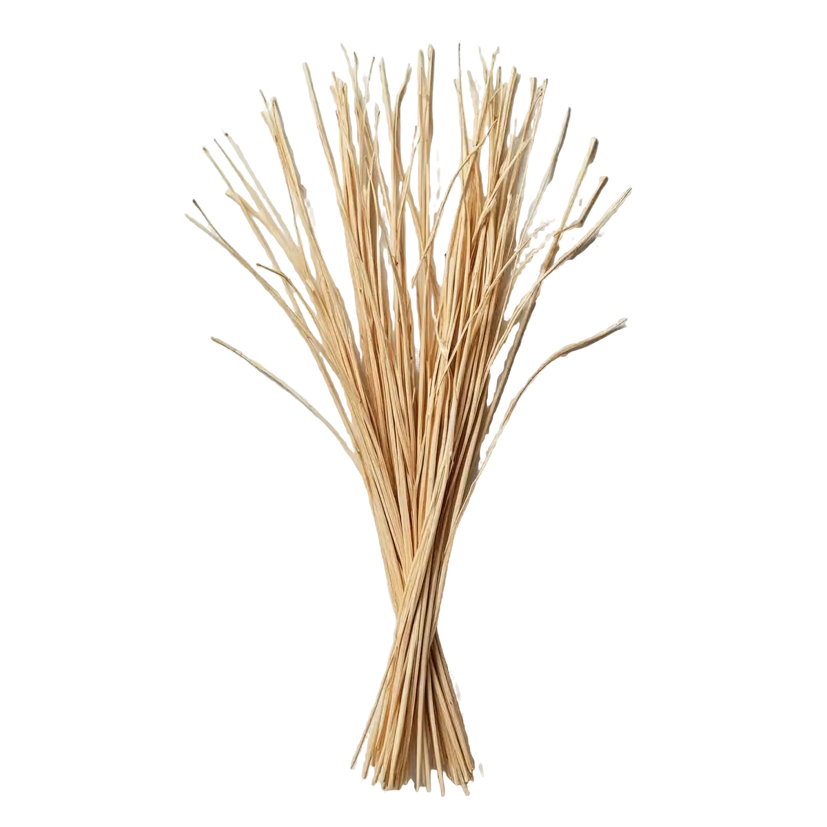 خس خس (وتیور)