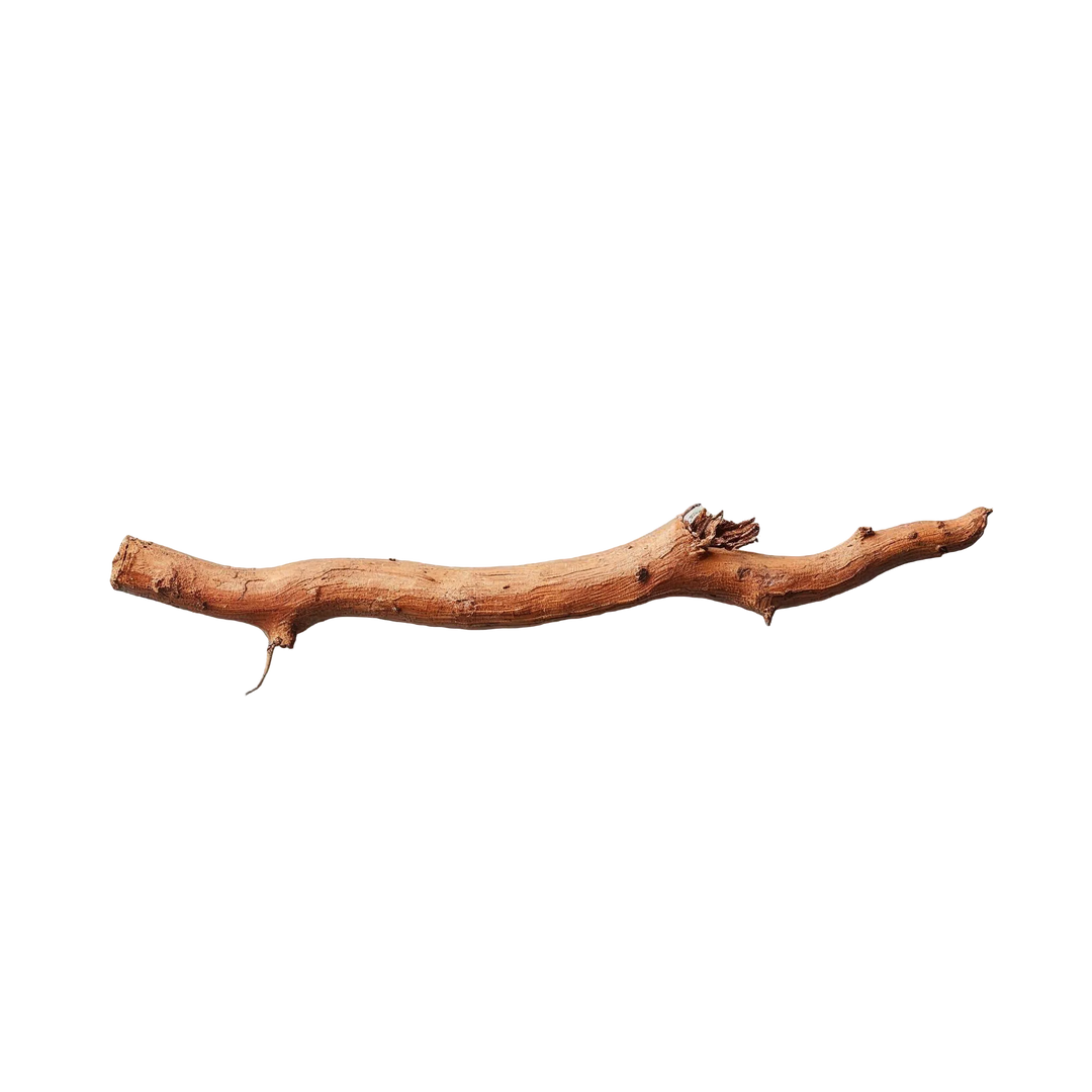 ناگاموتا (سیپریول)