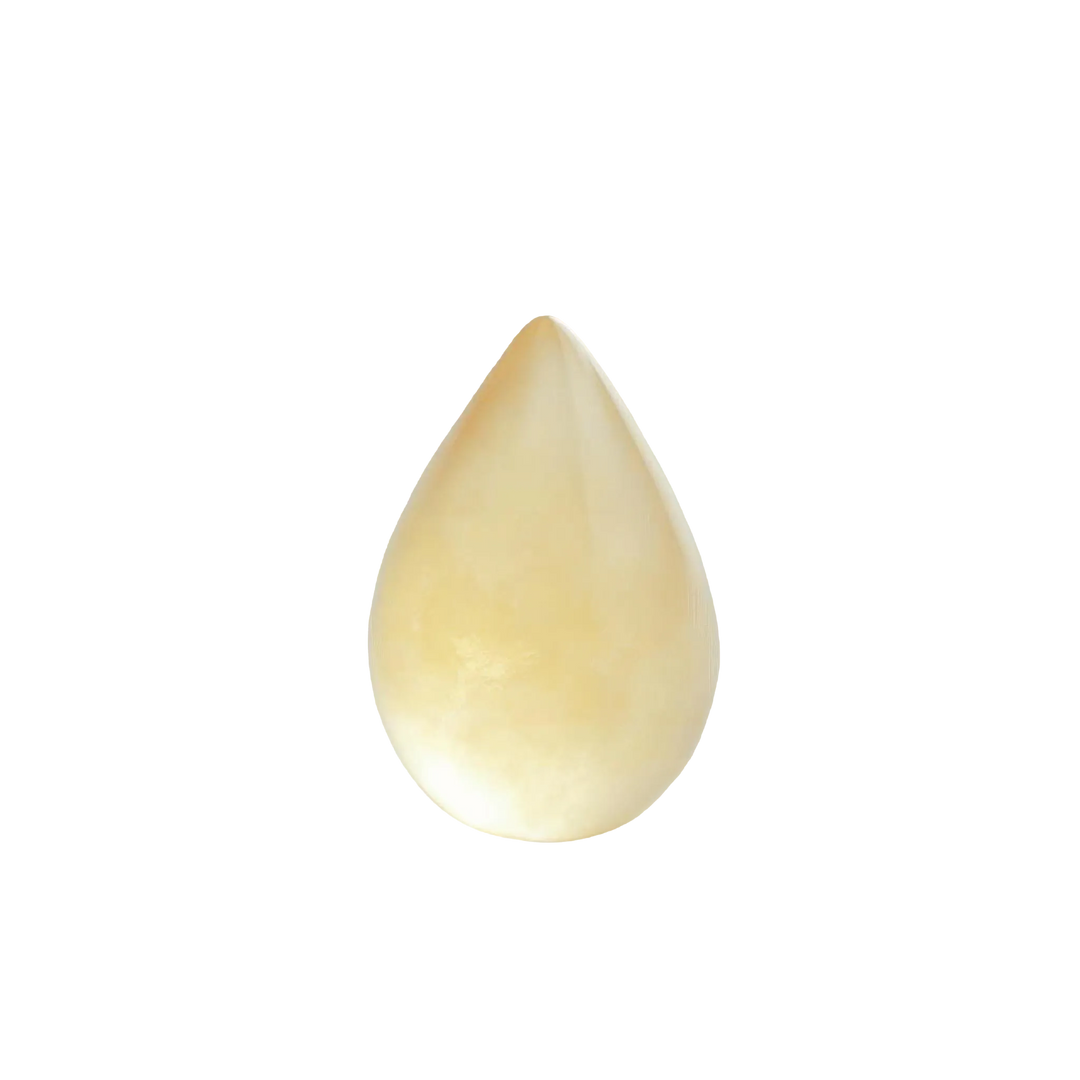 صمغ (بالسام) المی